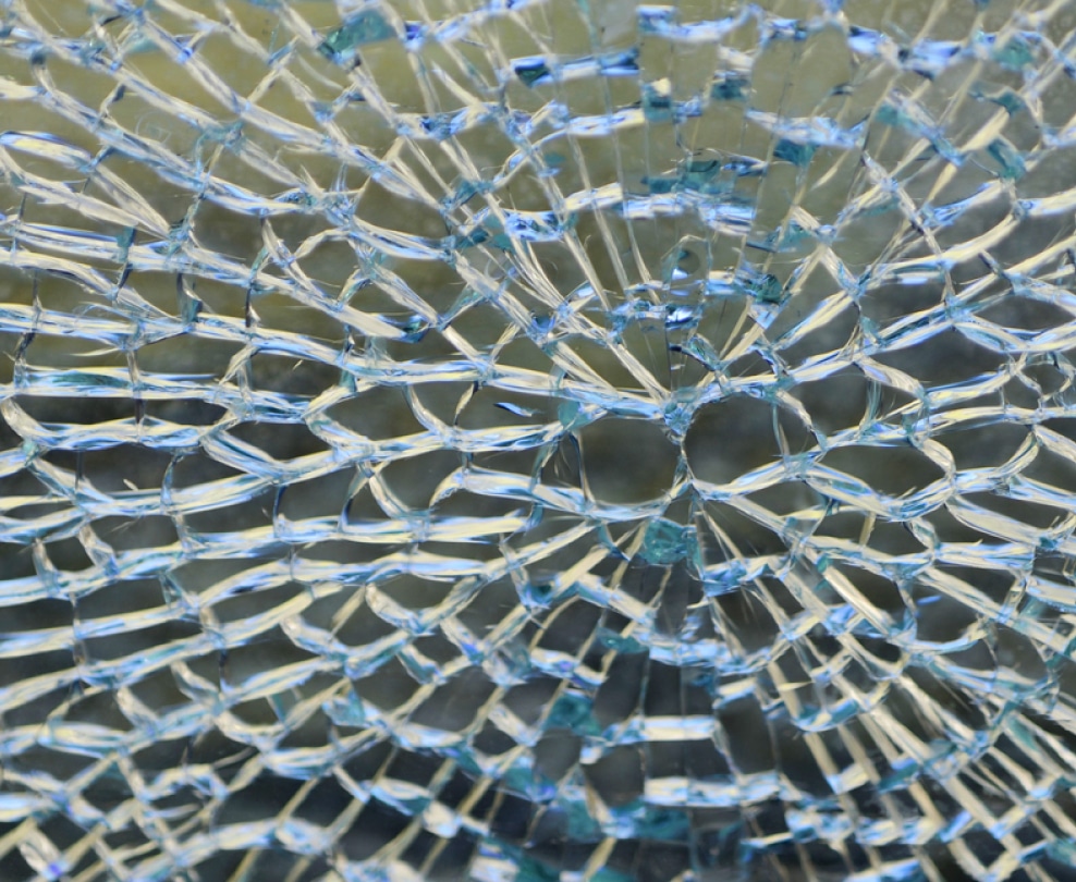 shield8-1